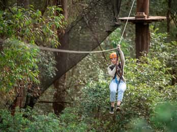 Ourimbah: Central Coast Treetops Adventure Tree Ropes Course