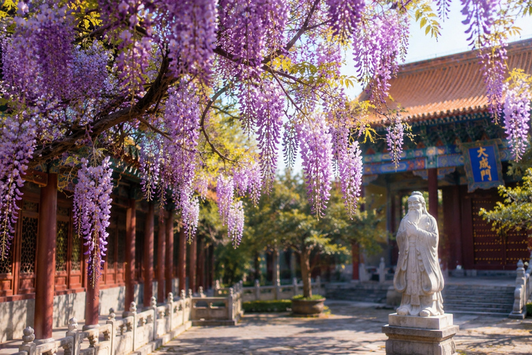 Confucius Temple&Imperial College: Entry Ticket+Audio Guide Afternoon entry+Audio guide