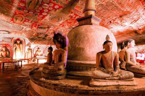 Colombo: Excursión de un día desde Colombo a Sigiriya y la cueva de Dambulla
