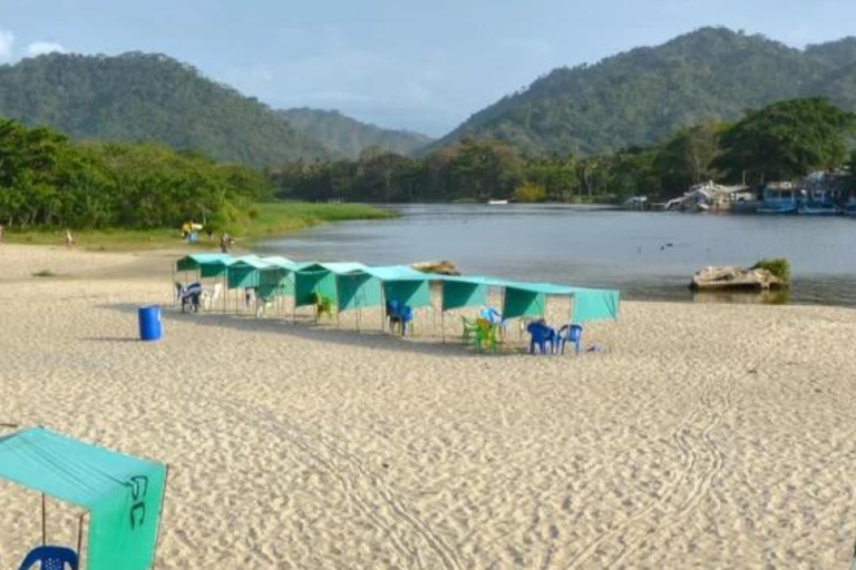 Santa Marta: Quebrada Valencia or Guachaca and Buritaca Tour with Lunch