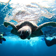 Ishigaki Island: Blue Cave Exploration & Snorkeling Tour