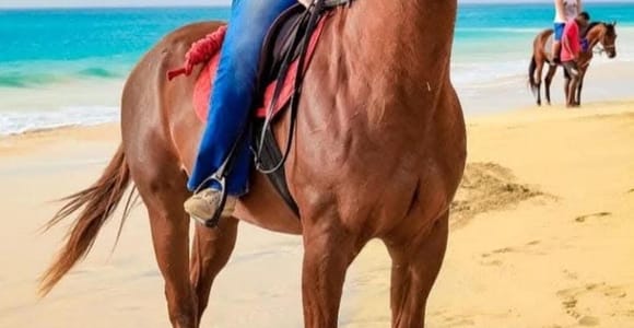 A rider on a chestnut horse on wet sand at the water's edge, turquoise sea and a second rider behind