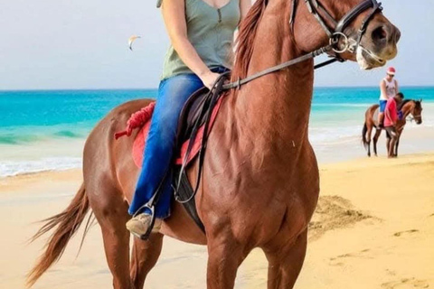 Sal Island Horse Riding – Dunes, Beaches & Villages Horse Riding 2 Hours – Beginners/Intermediate