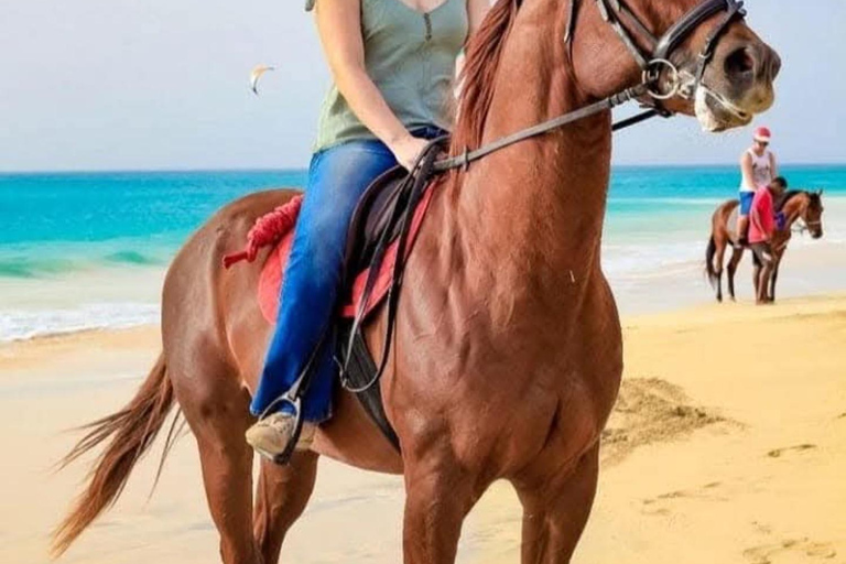 Sal Island Horse Riding – Dunes, Beaches & Villages Horse Riding 2 Hours – Beginners/Intermediate