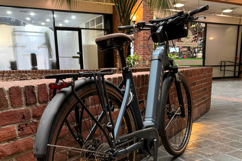 Boston Electric Assist Bicycle Rental