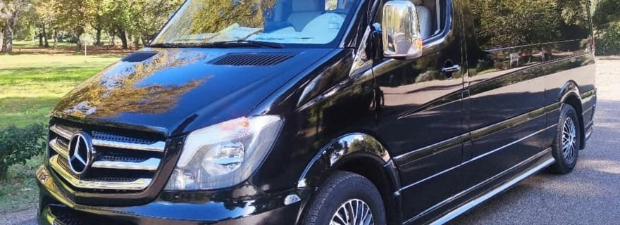 Olympie : visite privative du temple d'Apollon Épicurien