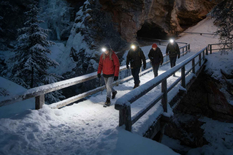 From Banff Guided Johnston Canyon Night Walk and Stargazing Banff: Guided Johnston Canyon Night Walk and Stargazing