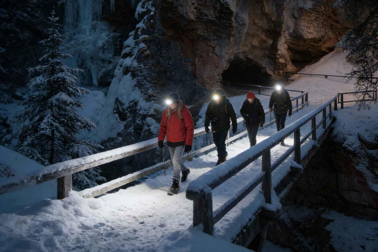 From Banff Guided Johnston Canyon Night Walk and Stargazing Banff: Guided Johnston Canyon Night Walk and Stargazing