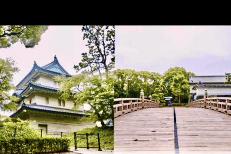 Tokyo: Tsukiji Food Tour, Sumo Show & Imperial Palace Guide