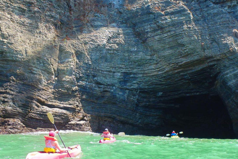 Tenerife: Schildpadden en dolfijnen spotten Kajak Tour met gids