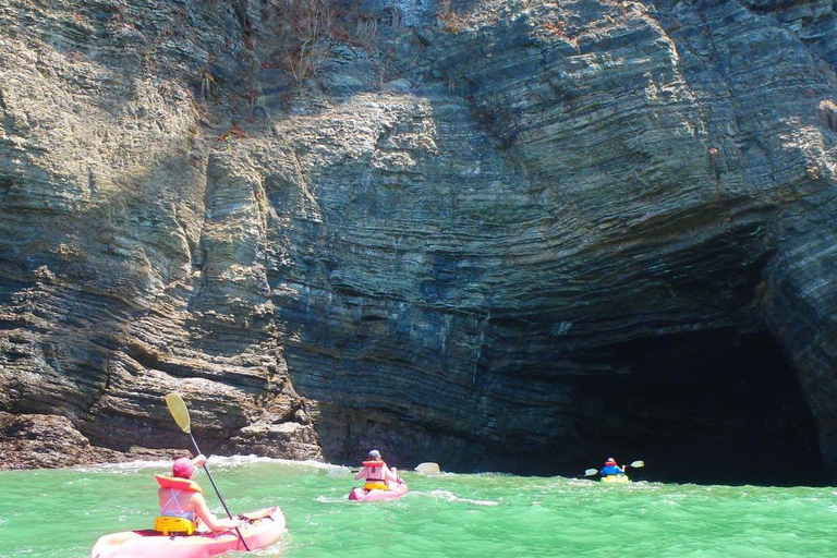 Tenerife: Tour guidato in kayak alla ricerca di tartarughe e delfini