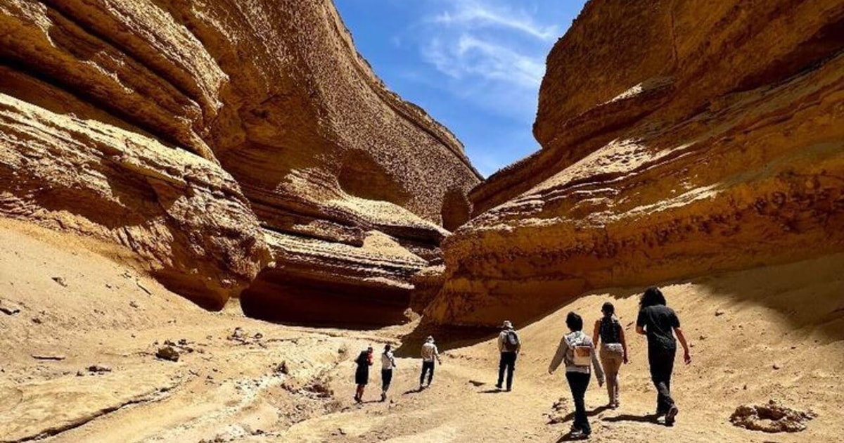 Ica Guide Ica: Visit the Canyon of the Lost with a hike and a natural approach ...