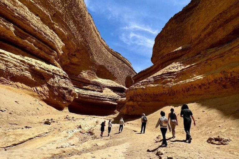 Ica: Visit the Canyon of the Lost with a hike and a natural approach