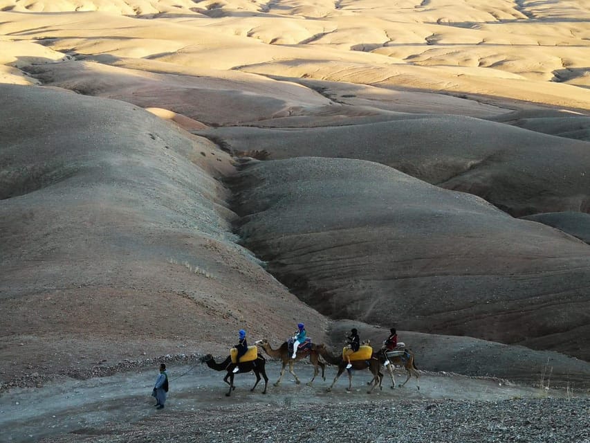 Giro In Cammello Al Tramonto Nel Deserto Di Agafay Getyourguide