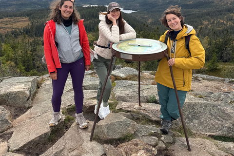 Trondheim: Gråkallen Guided Hike in Bymarka