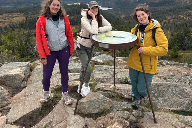 Trondheim: Gråkallen Guided Hike in Bymarka