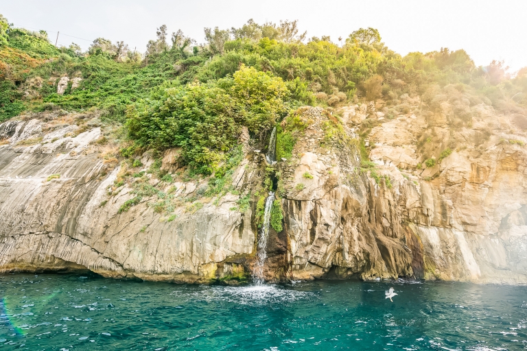 Sorrento: luxe boottocht naar Capri en optioneel Blauwe GrotOphaalservice vanuit Sorrento en omgeving zonder Blauwe Grot