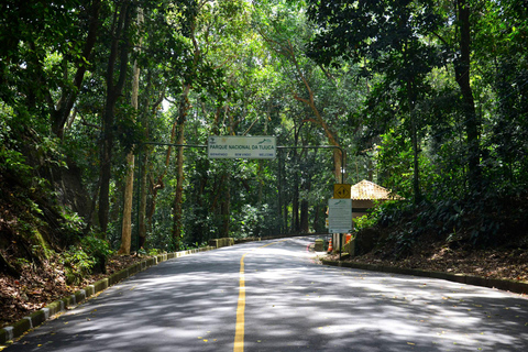 Rio de Janeiro: Zwiedzanie z przewodnikiem do Parku Narodowego Tijuca