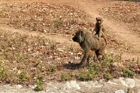 Visite d&#039;Accra Safari et croisière en bateau d&#039;une journée privée