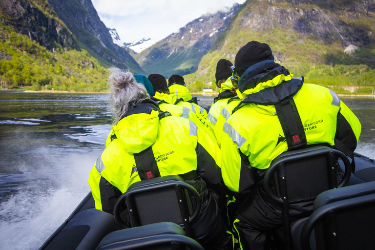 Avventura a Ulvik: Esplorare l&#039;Osafjord dell&#039;Hardangerfjord in gommoneUlvik: safari in RIB all&#039;Osafjord - un ramo dell&#039;Hardangerjord