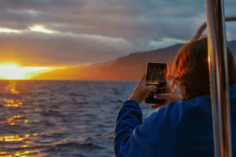 Bucht von Funchal: Delfin- & Walbeobachtung per Katamaran