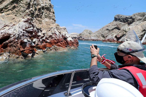 Paracas: Ballestas Islands + Paracas Reserve - FullDay Combo