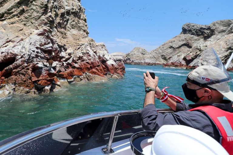 Paracas: Ballestas Islands + Paracas Reserve - FullDay Combo