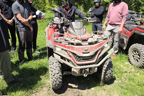 Zakopane: Snowmobile, Quad, or Buggy Tatra Mountains Tour