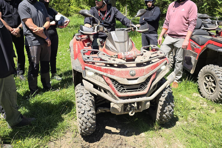 Zakopane: Snowmobile, Quad, or Buggy Tatra Mountains Tour