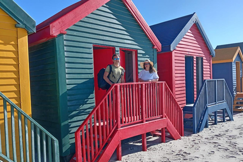 Cape Town: Penguins &amp; Cape of Good Hope Half-Day Tour