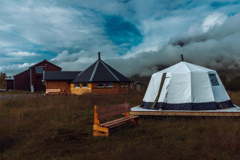 Reindeer Feeding and Sami Culture with Lunch in Autumn Tromsø: Reindeer Feeding and Sami Culture in Autumn