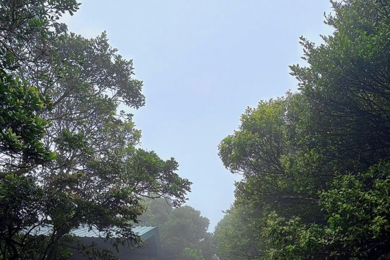 Mathale/Kandy: Riverston Peak Tour with Transfers