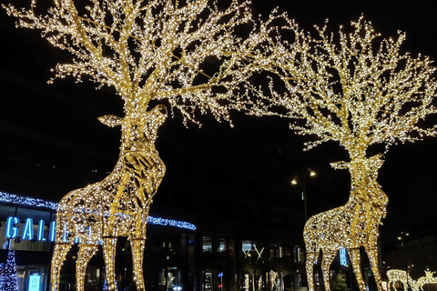 Stockholm: Christmas Lights and Market Walking Tour