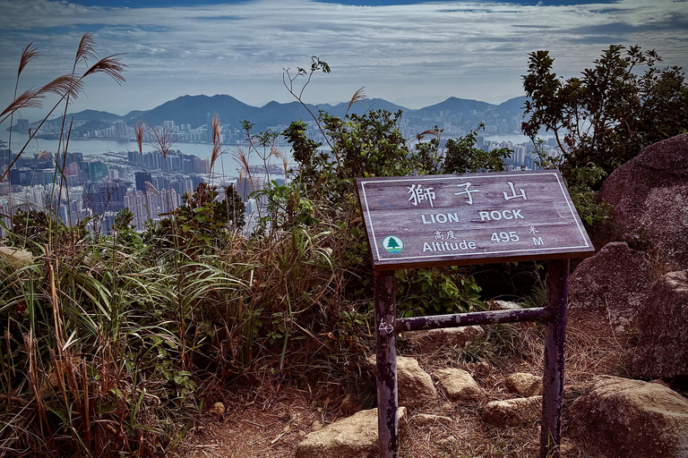 Hong Kong: Lion Rock Ridge Views Guided Hike (4 Hours)