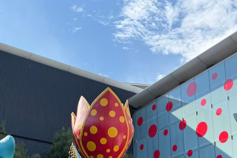 Nagano: Matsumoto Art Museum Ticket & Digital Plan