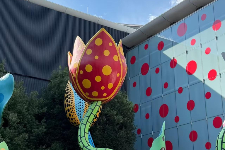 Nagano: Matsumoto Art Museum Ticket & Digital Plan