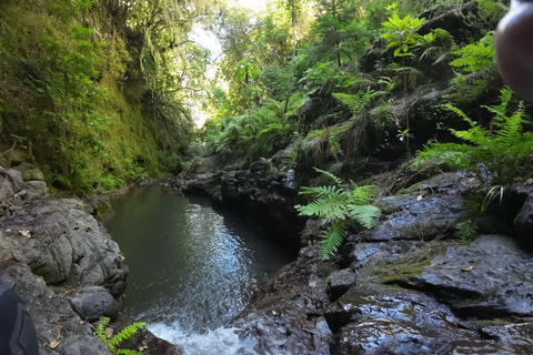 Madeira: Canyoning Privat Tour