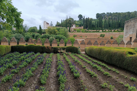 De Sevilha: Viagem de um dia para Granada com entrada para a AlhambraPasseio por Albaicin e mirante para Alhambra e Sierra Nevada