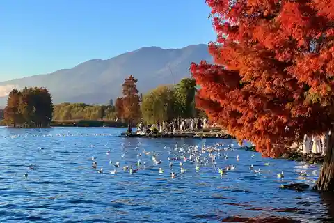 Kunming: 8-Day Yunnan Impression Tour