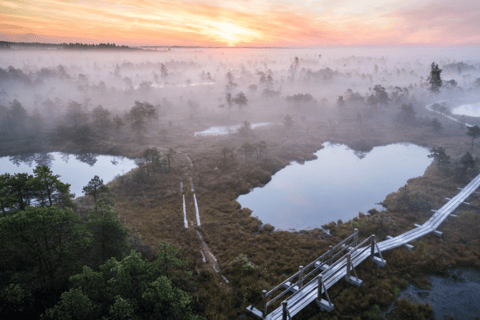 From Riga: Jūrmala and Ķemeri National Park with Picnic