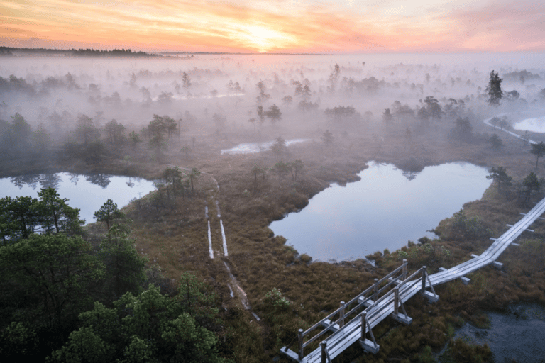 Von Riga aus: Jūrmala und Ķemeri-Nationalpark mit Picknick