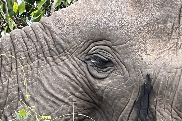 Safari de 1 dia na vida selvagem de Akagera e passeio de barco1 dia de Safari pela vida selvagem em Akagera e passeio de barco