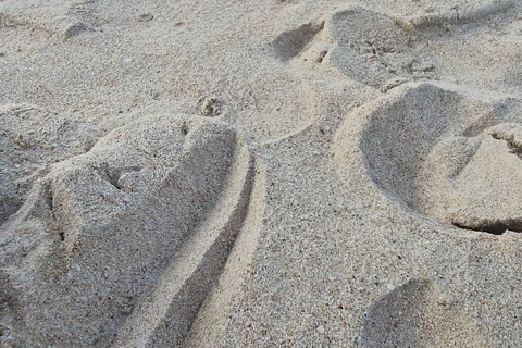 El Nido: Nacpan Beach and Bulalacao Waterfalls Tour