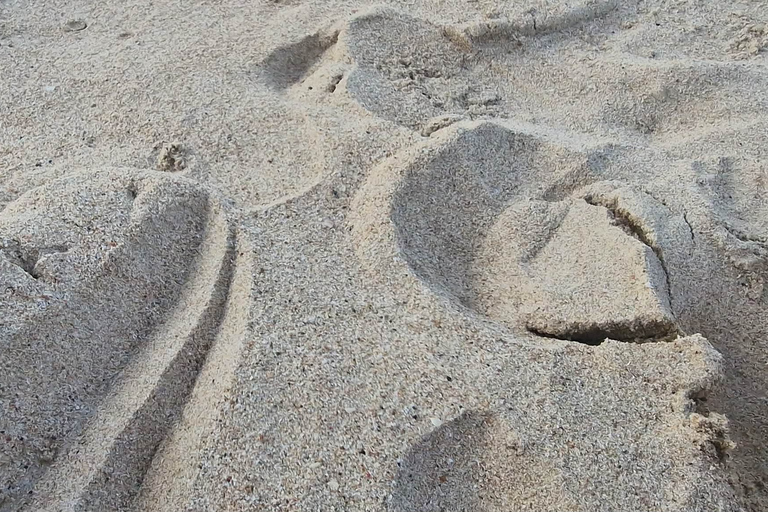 El Nido: Nacpan Beach and Bulalacao Waterfalls Tour