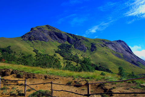 Munnar e Alleppey 3N/4D Excursão exclusiva com estadia numa casa flutuante