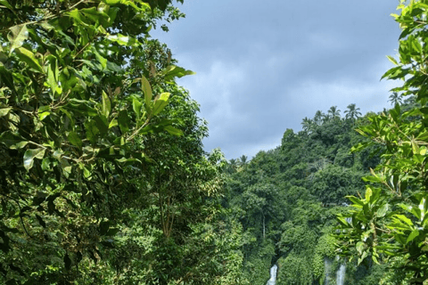 Bali: Poznaj północną część Bali - indywidualna wycieczka prywatnaNorth Bali Trip C