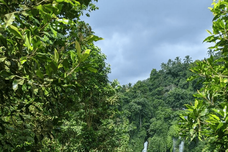 Bali: Esplora il nord di Bali: tour privato personalizzato di un giornoViaggio a Bali Nord B