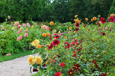 Arcen: Palace Gardens Tickets