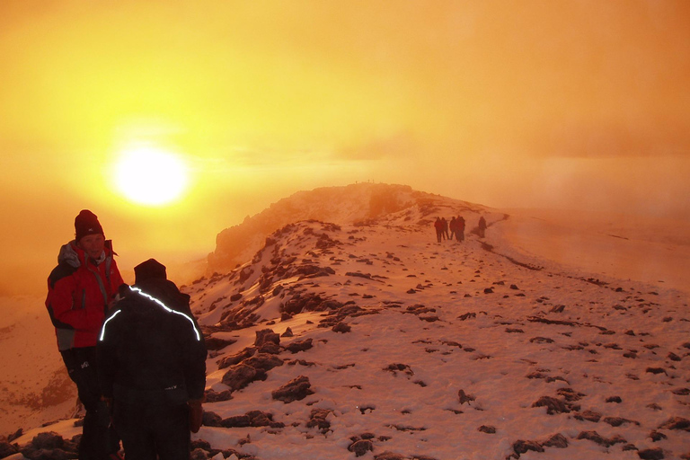 6 jours Route Machame Ascension du Kilimandjaro