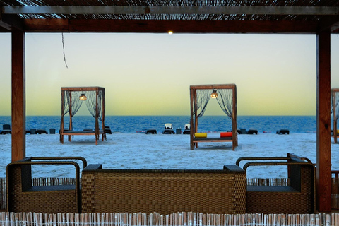 Doha: Full-Day Desert Safari, Dune Bashing & BBQ Dinner